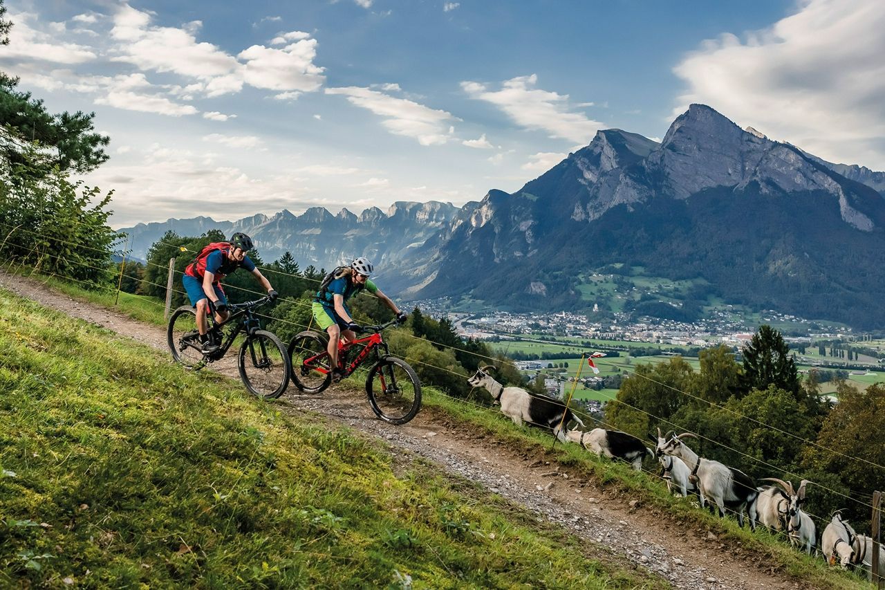 Cycle ride through the Italian Countryside 