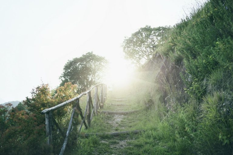 Lefay Resort & SPA Lago di Garda