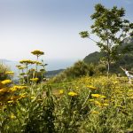 Fusion Fitness™ at Lefay Resort & SPA Lago di Garda