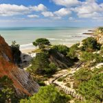 Explore Nature at Pine Cliffs