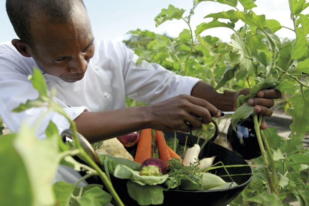 Detox at Shanti Maurice