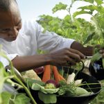 Shanti Maurice Resort & Spa