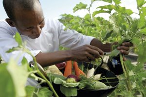 Shanti Maurice Resort & Spa