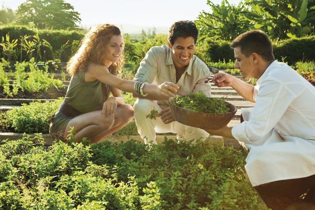 Weight Management at Shanti Maurice