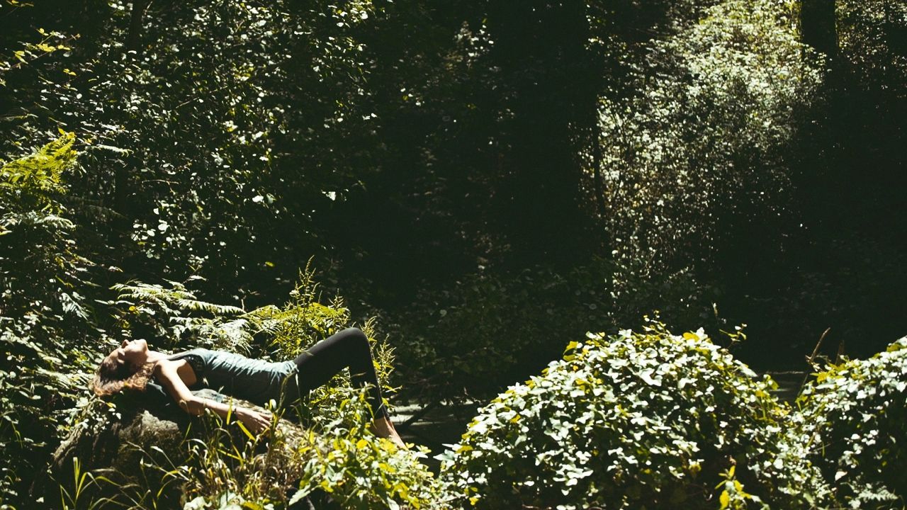 The Best Luxury Dog-Friendly Spa Hotels in the World