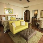 Ananda in the Himalayas