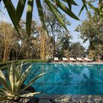 Ananda in the Himalayas