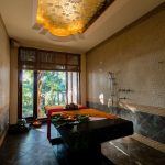 Ananda in the Himalayas