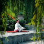 Ananda in the Himalayas