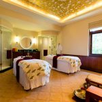 Ananda in the Himalayas