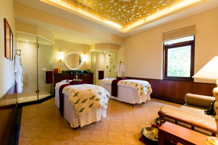 Ananda in the Himalayas