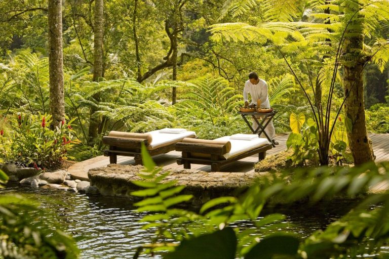 Top 5 Eco-Friendly Holidays That Look After The Planet and You