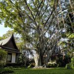 Chiva-Som International Health Resort