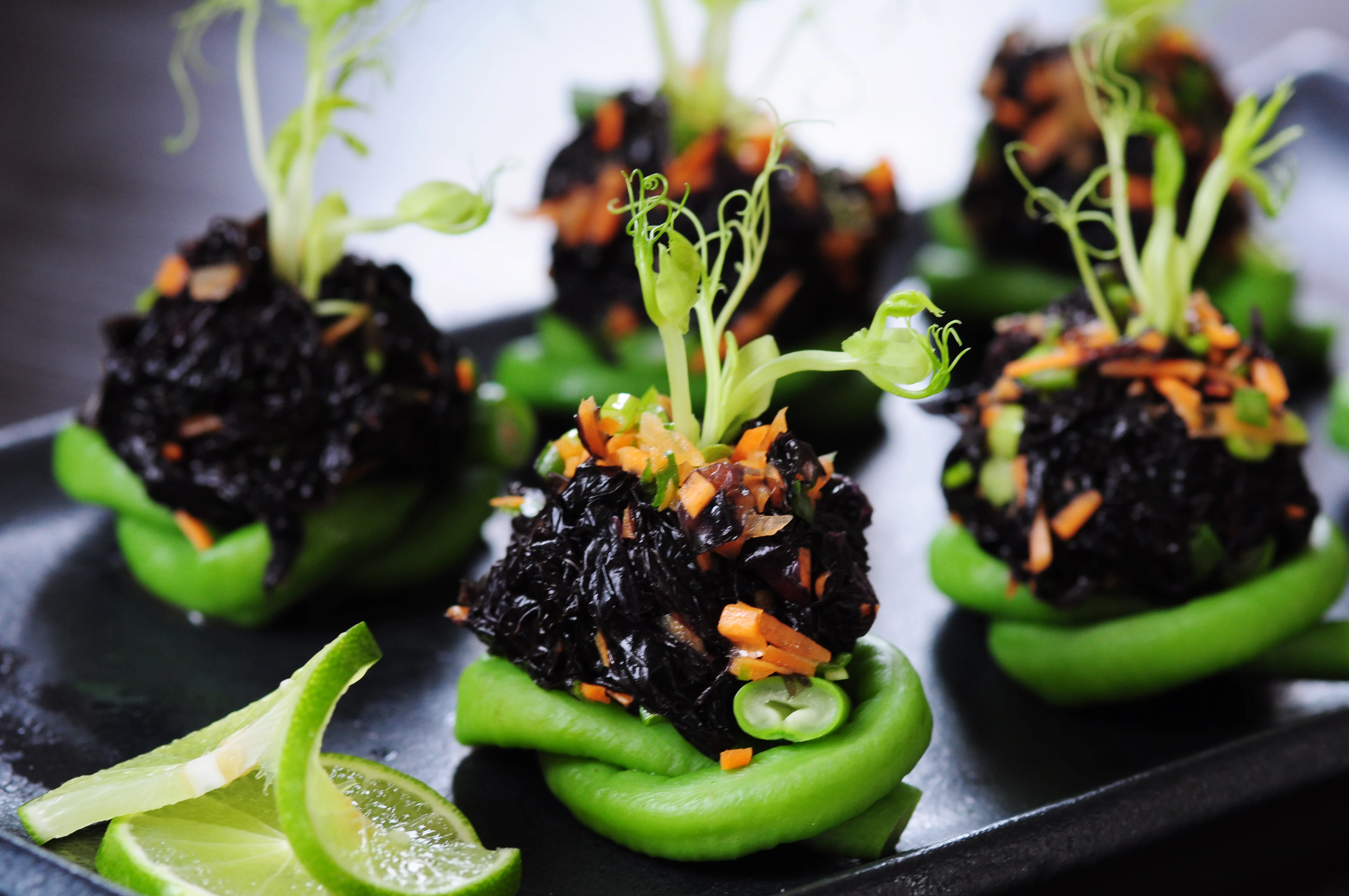 Absolute-Sanctuary-earth-ocean