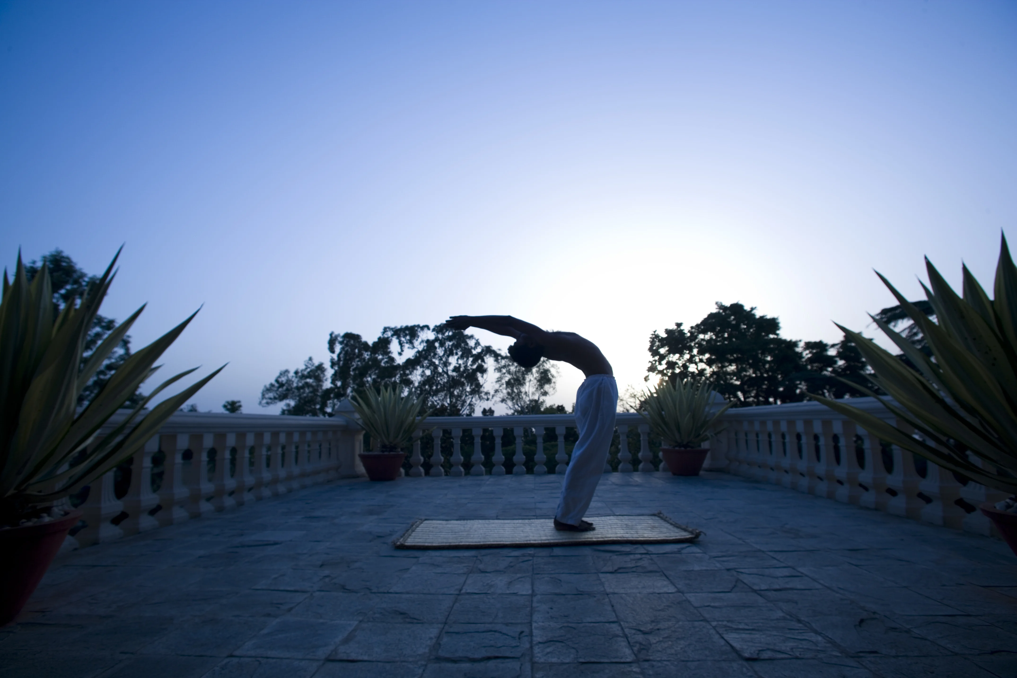 Ananda-yoga-terrace