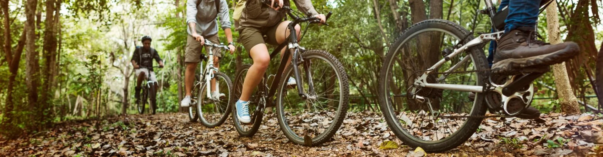 Discover Image Banner