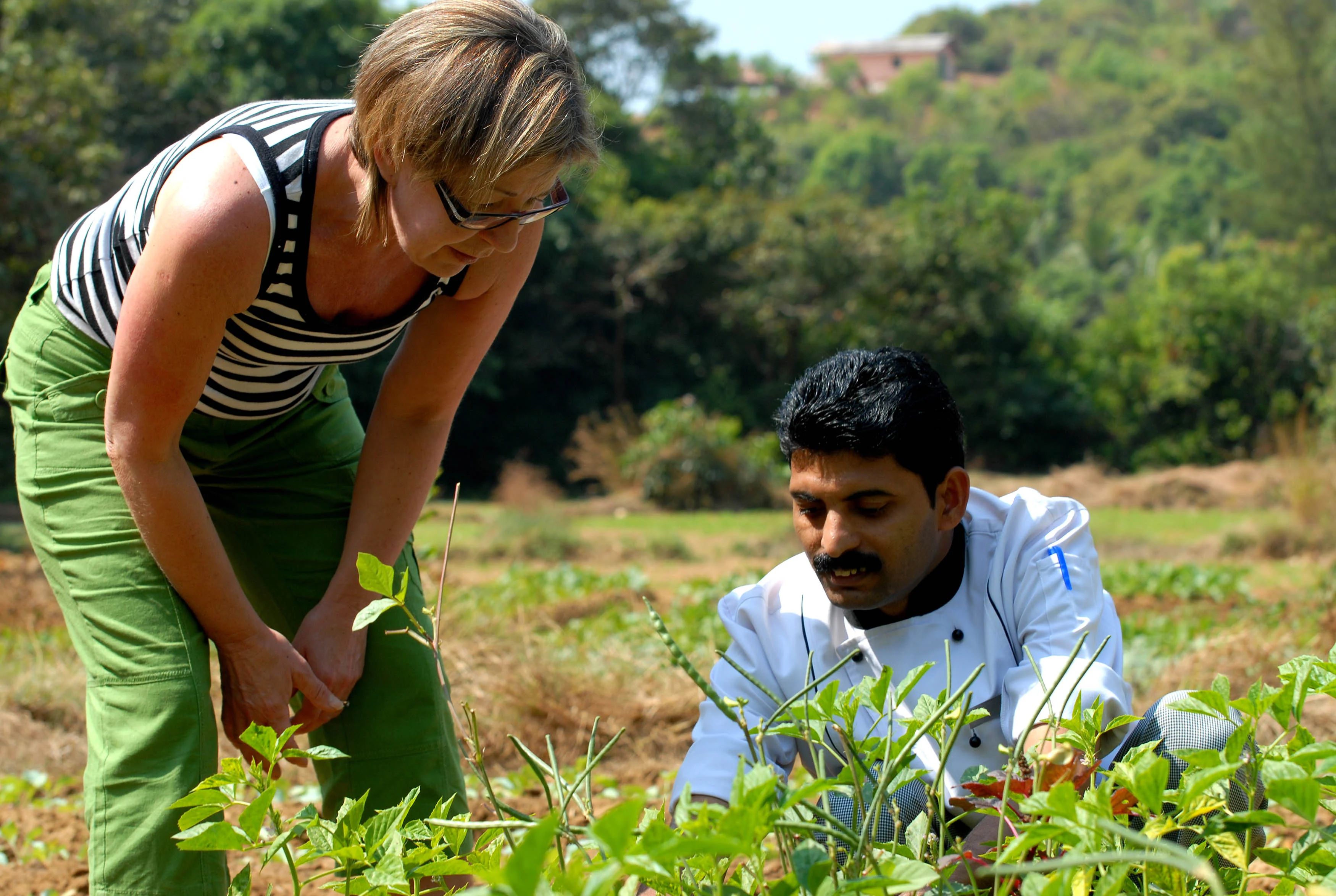 SwaSwara-chef-picking