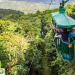 St Lucia - Aerial RainForest