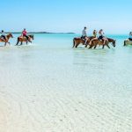 Turks & Caicos - HorseRidingalongLongBay