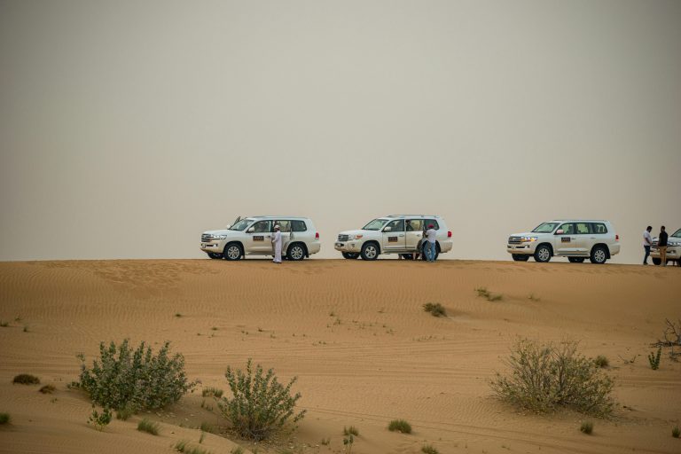 Dubai- Desert Excursions