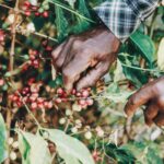 Costa Rica- Plantation Tours