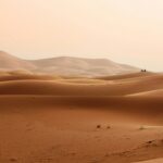 Expansive golden sand dunes basking under a clear sky, capturing nature's arid beauty.