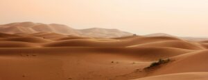 Expansive golden sand dunes basking under a clear sky, capturing nature's arid beauty.